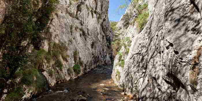 Las Palancas y la cueva del Piscarciano